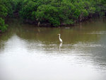 DSCF0069