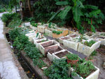 DSCF0089