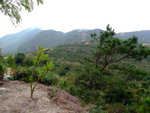 DSCF0014