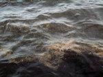 DSCF0129
