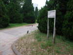 DSCF0256