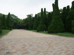 DSCF0265