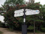 DSCF0275