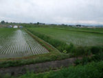 DSCF1257