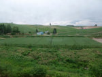 DSCF1259