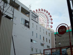 DSCF1317