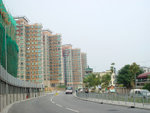 DSC03953