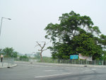DSC03959