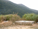 DSCF0021