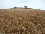 DSCF0089