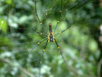 DSCF0014