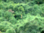DSCF0016
