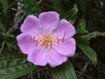 DSCF0027