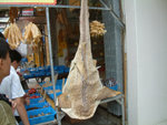 DSCF0070