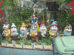DSCF0074