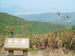 DSC03771