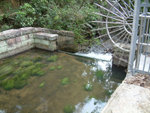 DSCF0029
