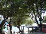 DSCF0042