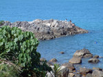 DSCF0048