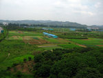 IMG_0051