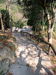 DSCF0006