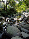 DSCF0007