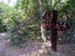 DSCF0022