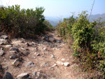 DSCF0029