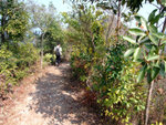 DSCF0032