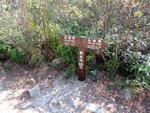 DSCF0034