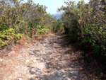 DSCF0035
