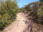 DSCF0045