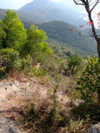 DSCF0061