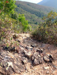 DSCF0064
