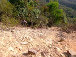 DSCF0065