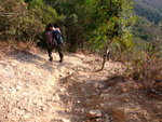 DSCF0066