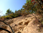 DSCF0068