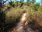 DSCF0070