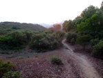 DSCF0093