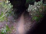 DSCF0101