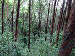 DSCF0027