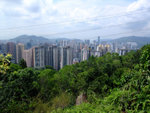 DSCF0031