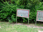 DSCF0053