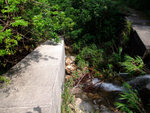 DSCF0064