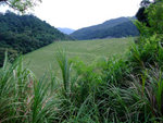 DSCF0083