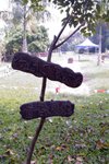 01-Oct-2005_036
