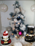 18-Dec-2004_23