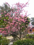 ABS_Grad_Talk-08