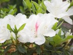 ABS_Grad_Talk-18