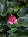 16-April-2005_12